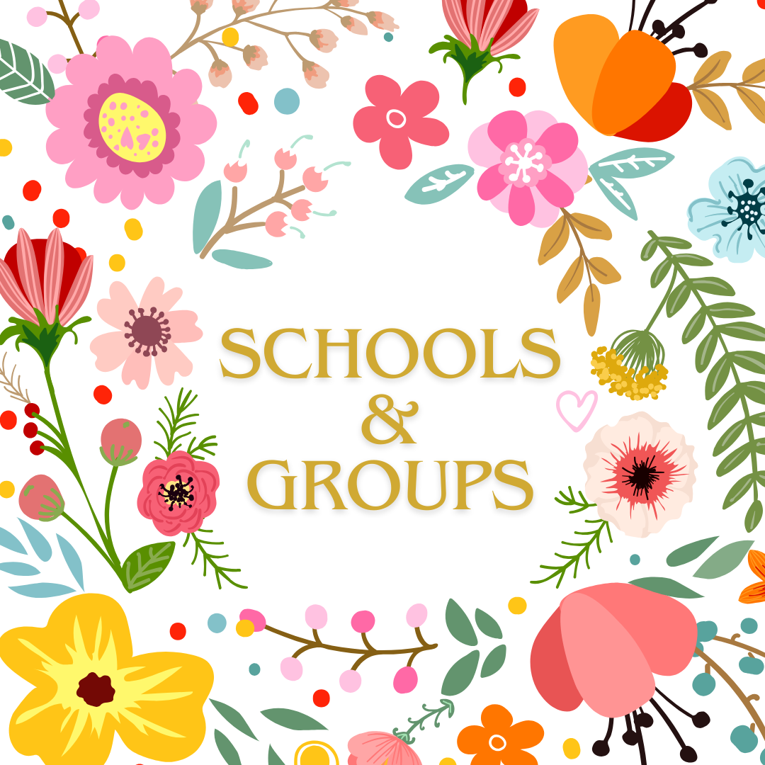 Schools and Groups