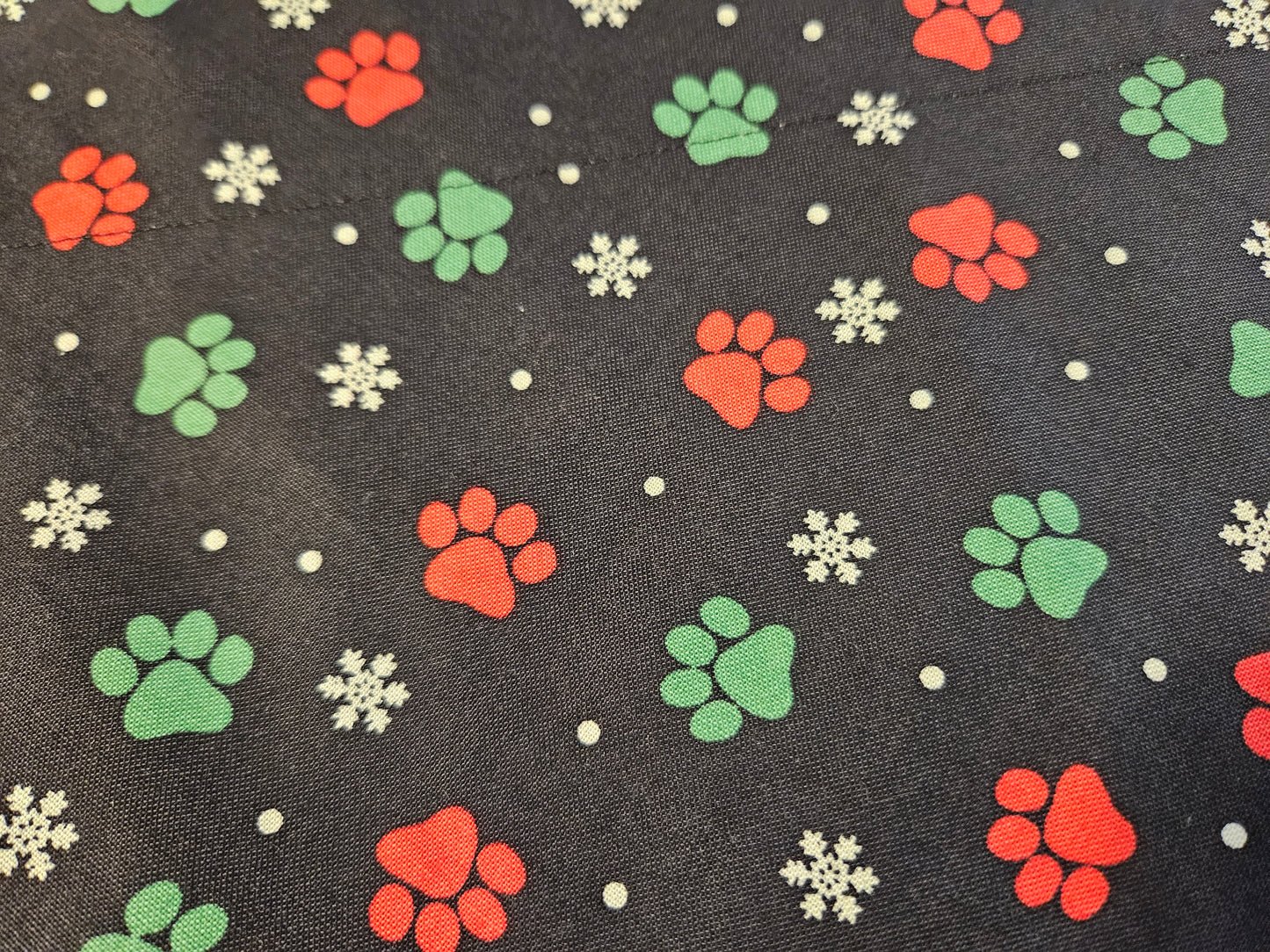 Large Paw Prints