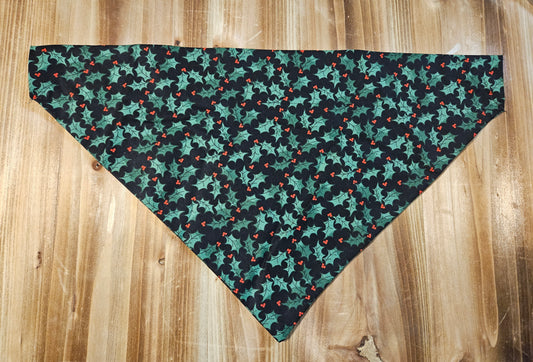 Large Mistletoe