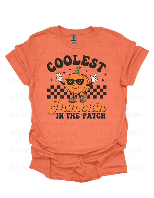 YOUTH- Coolest Pumpkin In The Patch